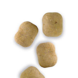 Salt Vit Chokladlakrits