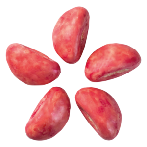 Vit Chokladhallonbåt